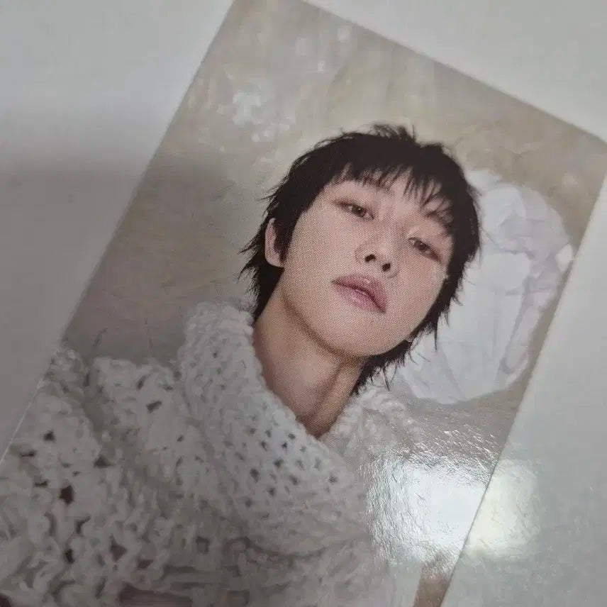 세븐틴 디에잇 포카