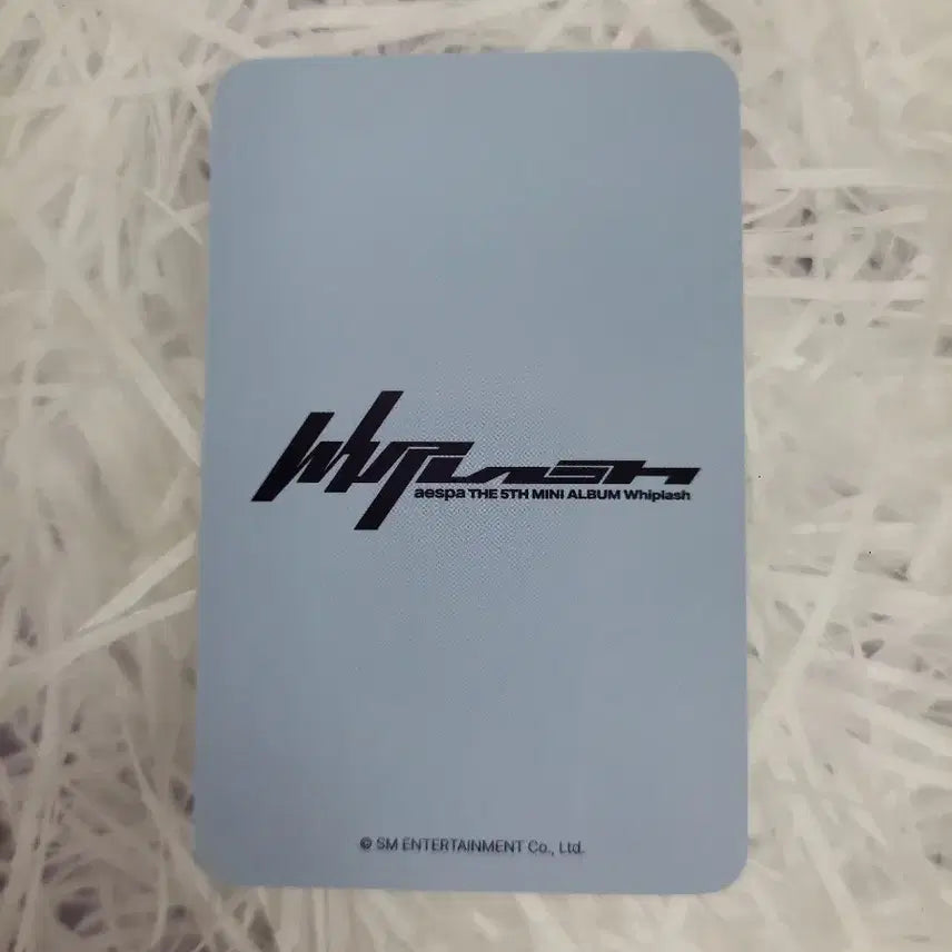 에스파 위플래시 에버라인 카리나 포카 양도