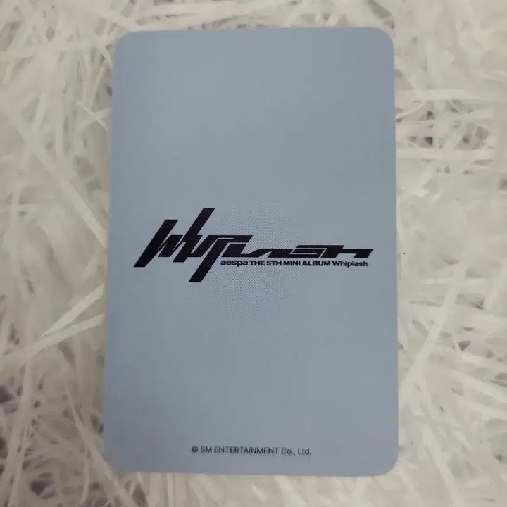 에스파 위플래시 에버라인 카리나 포카 양도