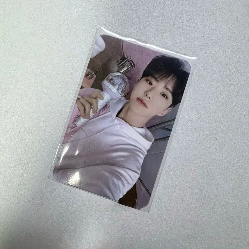 2023 세븐틴 캐럿랜드 호시 캐럿존