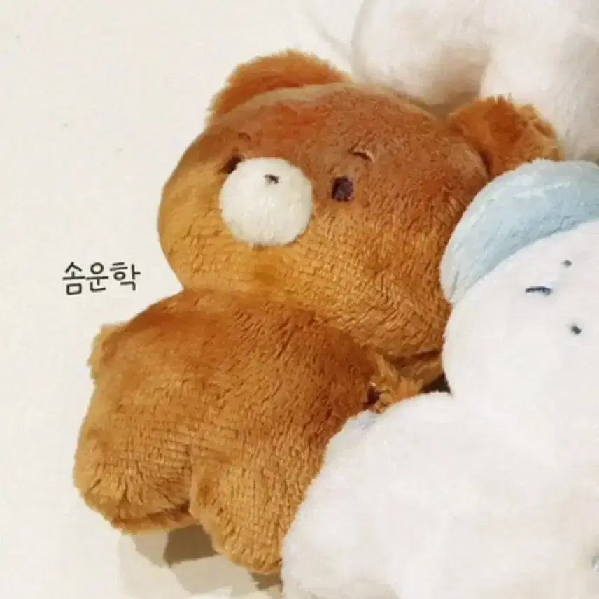 솜넥도 솜운학 양도 운학 인형 보이넥스트도어 보넥도