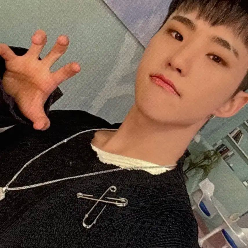 호시 아타카 캐럿 ver