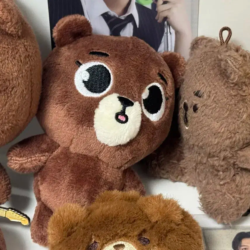데이식스 성진 백참 방이 포에버영 일본 데니멀즈