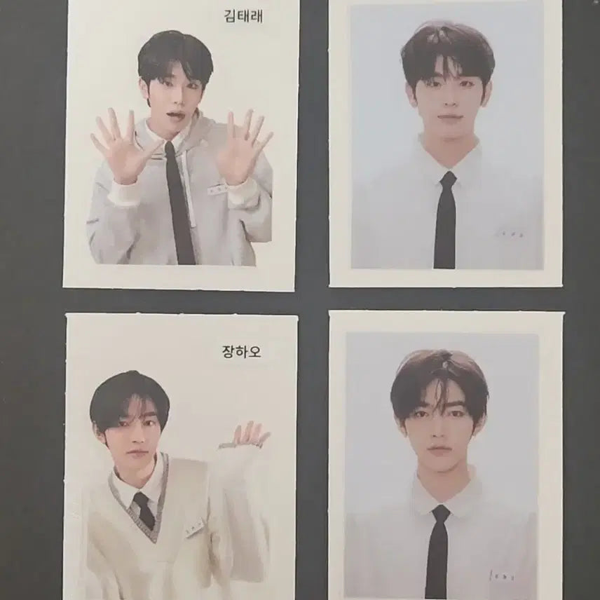 제베원 컬러그램 띠부씰