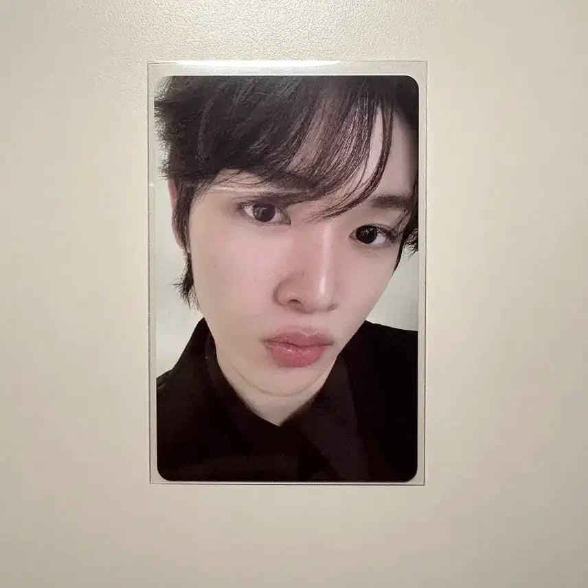 라이즈 2025 시그 성찬 포카 판매