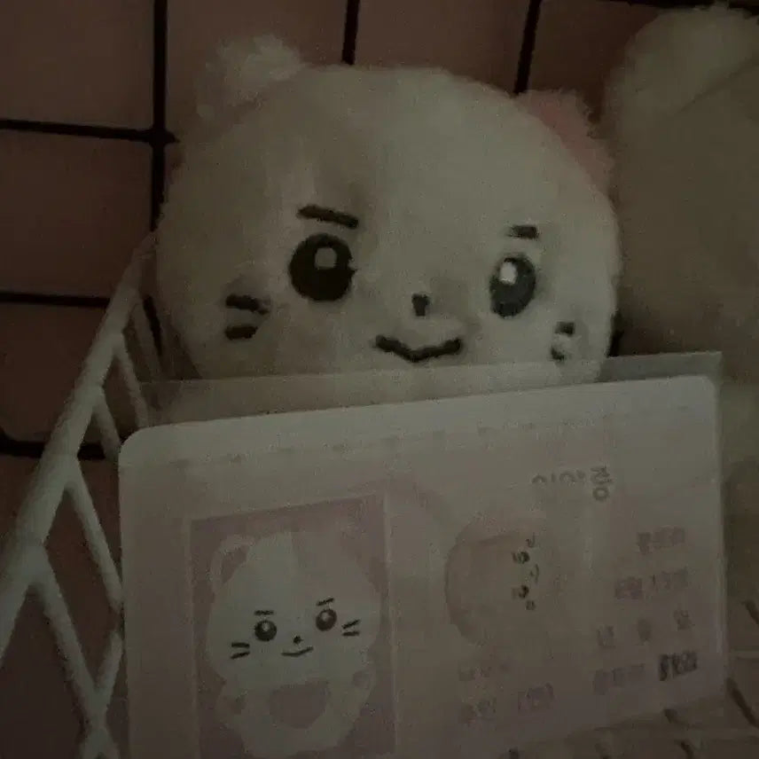 제로베이스원 제베원 성한빈 콩토리인형