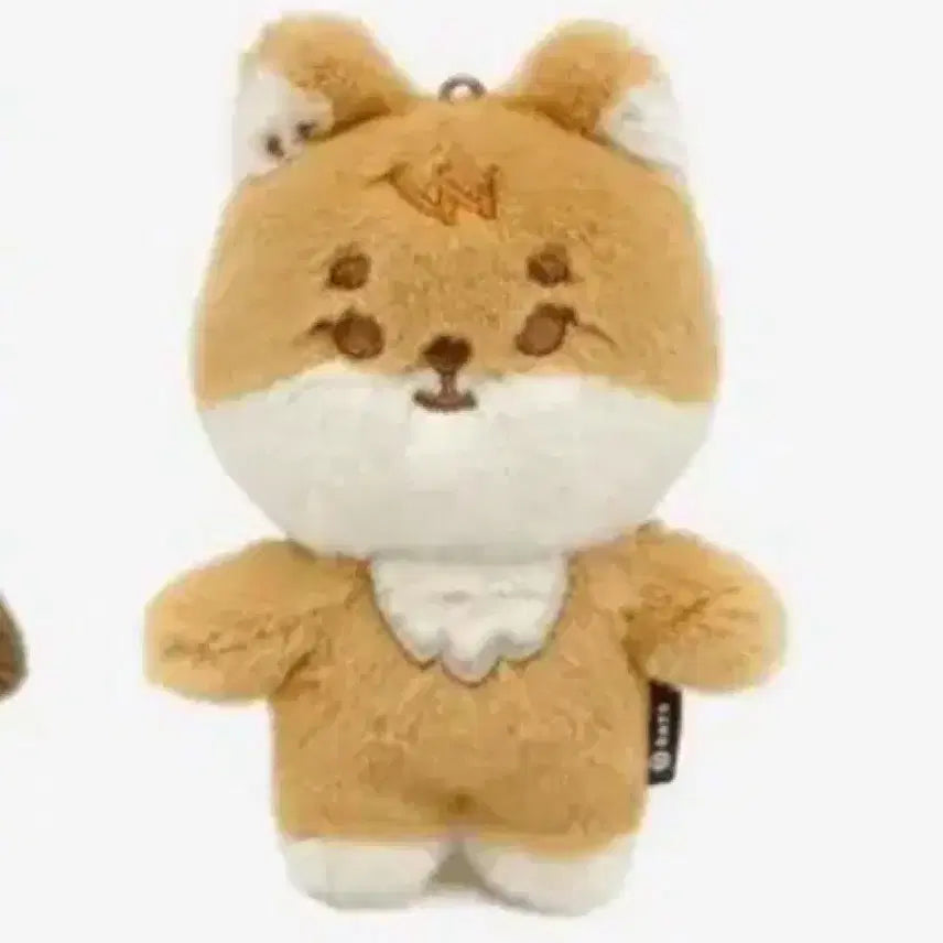 데이식스 쁘띠멀즈 케 미개봉