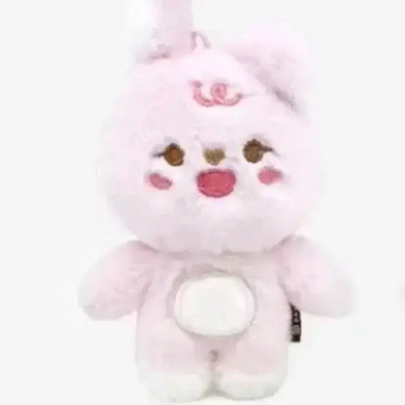 데이식스 쁘띠멀즈 필끼 미개봉