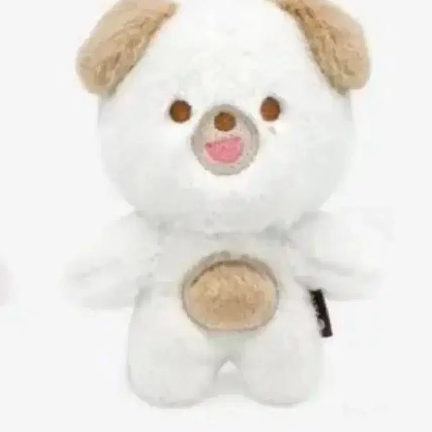 데이식스 쁘띠멀즈 돈 미개봉