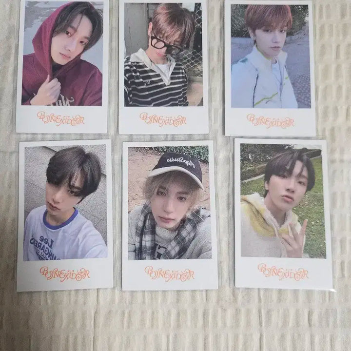 보이넥스트도어 풀구성 (급처)