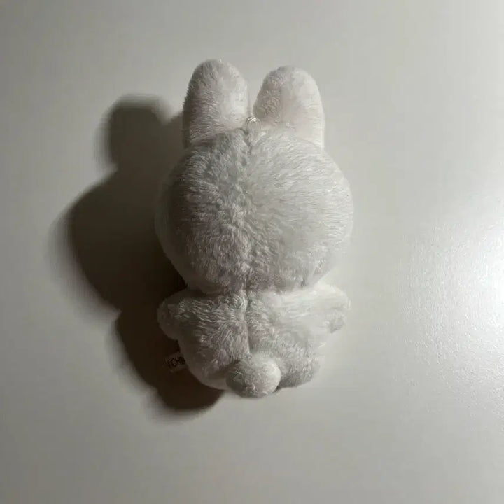 제로베이스원 한래빗판매