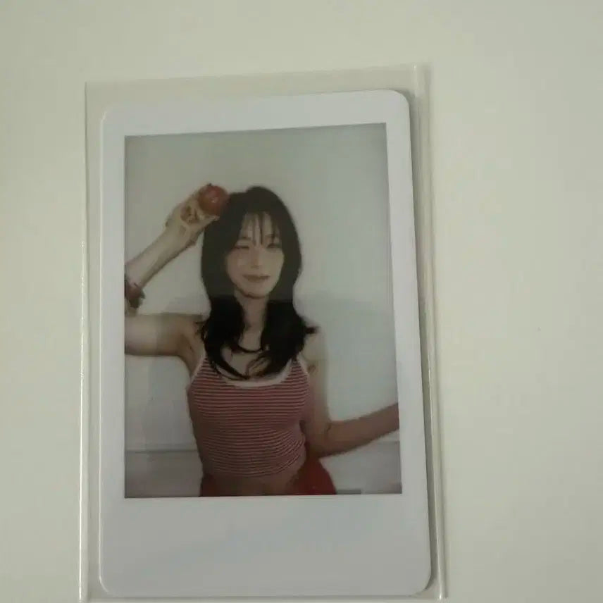 백지헌 팝업 사전예약 포카
