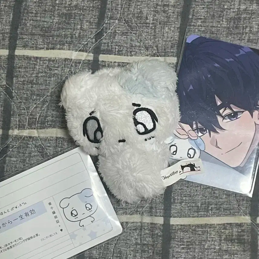 플부땅 쭈니땅 양도