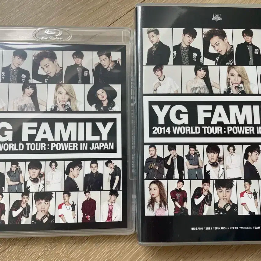 2014 YG Family 월드투어 일본 디비디