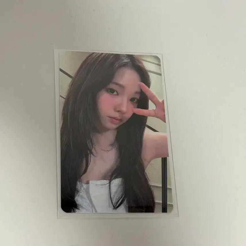 카리나 인터아시아 럭드