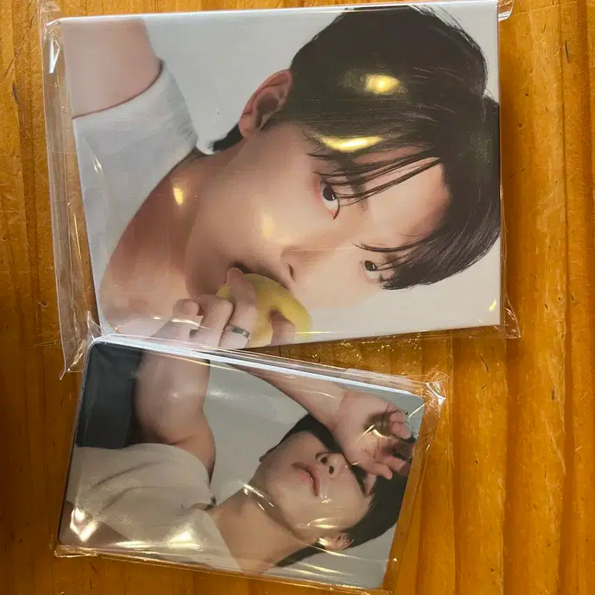 세븐틴 디노 캐럿반 디어버전 미개봉 (번장 최저가!!)