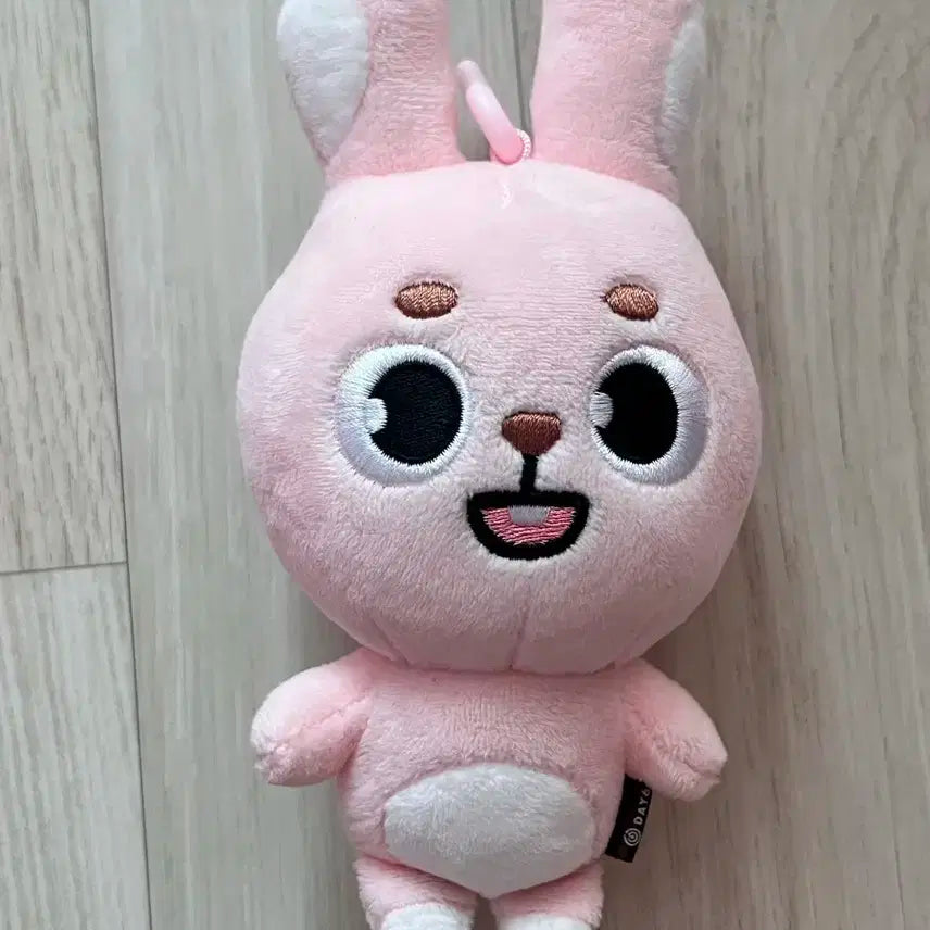 24 데니멀즈 필 Pil