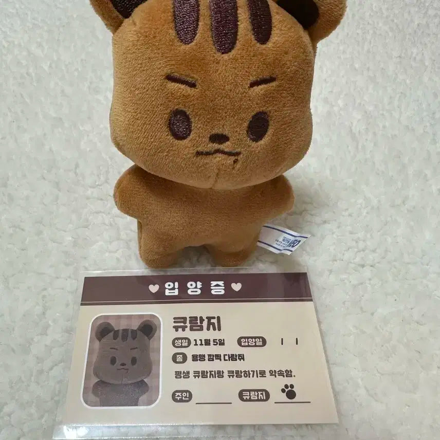 큐람지 양도 (더보이즈 큐 인형)