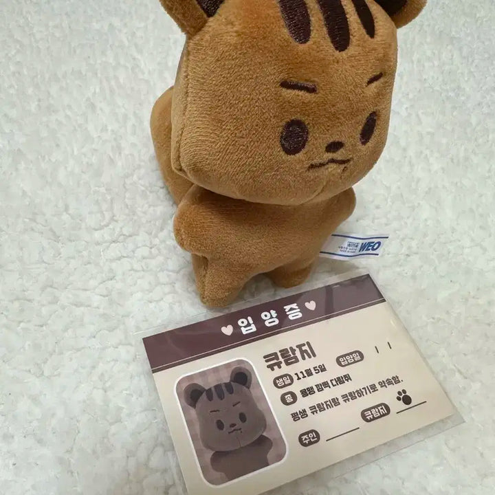 큐람지 양도 (더보이즈 큐 인형)