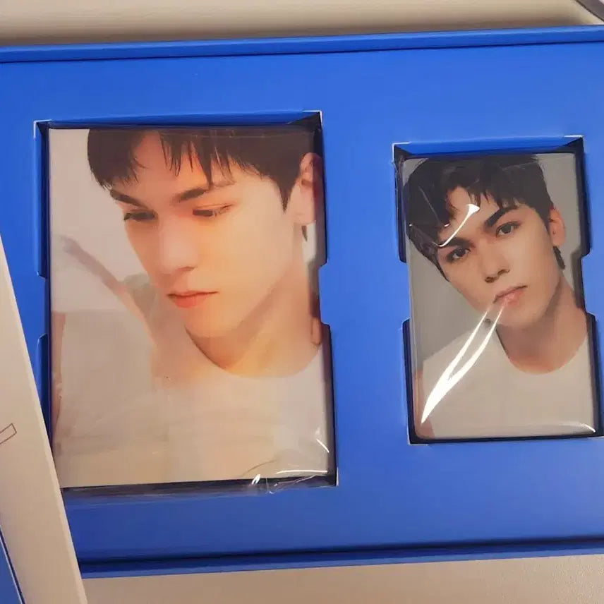 세븐틴 베스트 앨범 디어버전 캐럿반 버논 양도