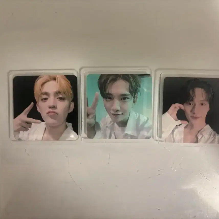 세븐틴 마그넷