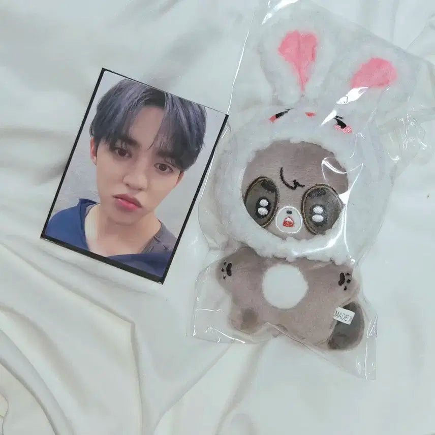 [일괄]세븐틴 에스쿱스 인형 포카 스탬프랠리 쿱리리