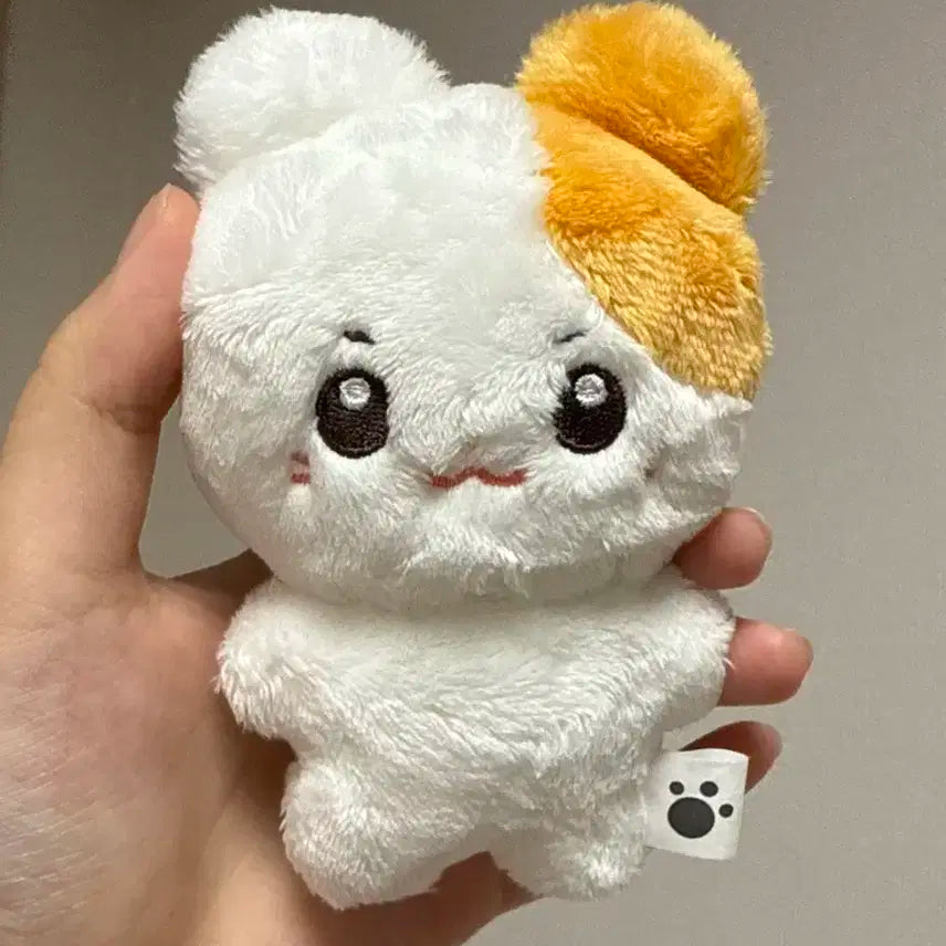 제베원 성한빈 인형 솜한빈