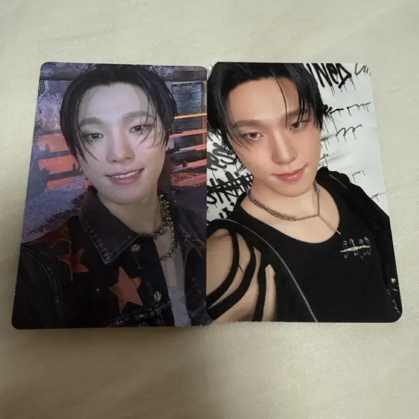 세븐틴 디노
