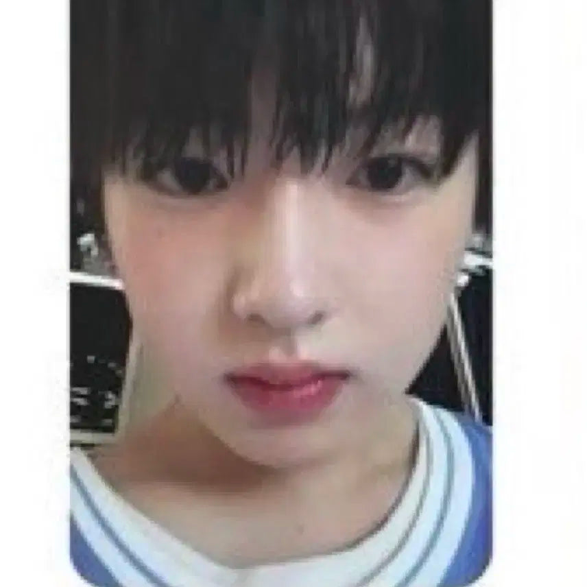 엔시티 위시 안꼬질 사쿠야 팝팝 한정반 포카