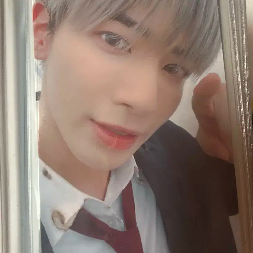 카오틱 원더랜드 위버스 재팬 태현 포카