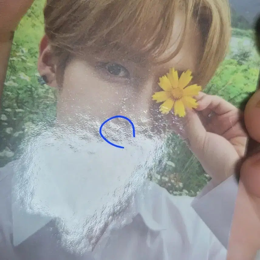 스키즈 리노 이민호 포카 일괄