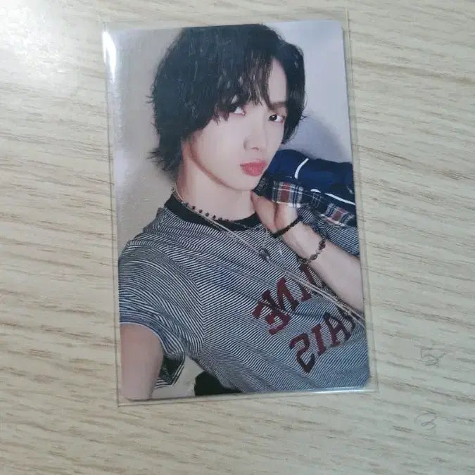 보넥도 19.99 성호포카