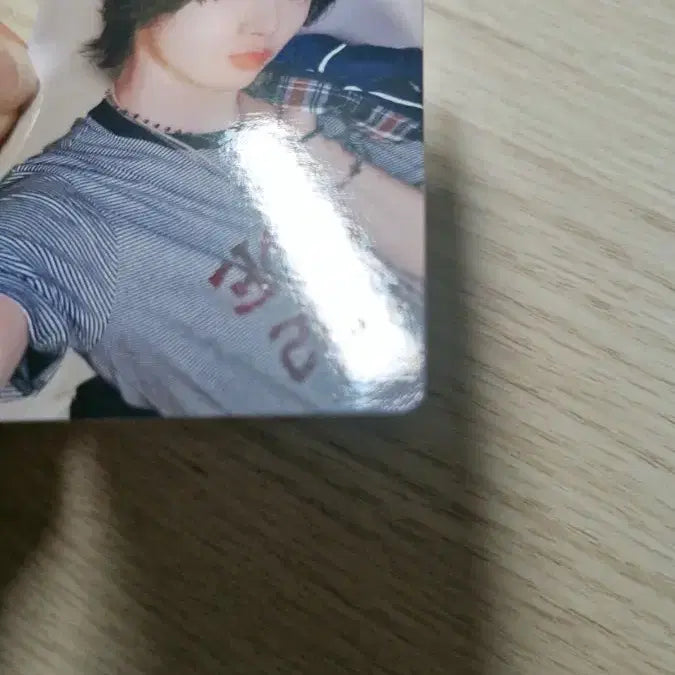 보넥도 19.99 성호포카