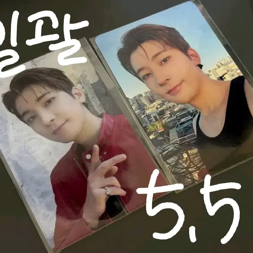 세븐틴 10주년 교보문고 럭드 원우 포카 일괄 양도 풀셋 정한 에스쿱스