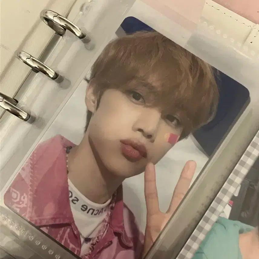 더보이즈 핑크선우포카