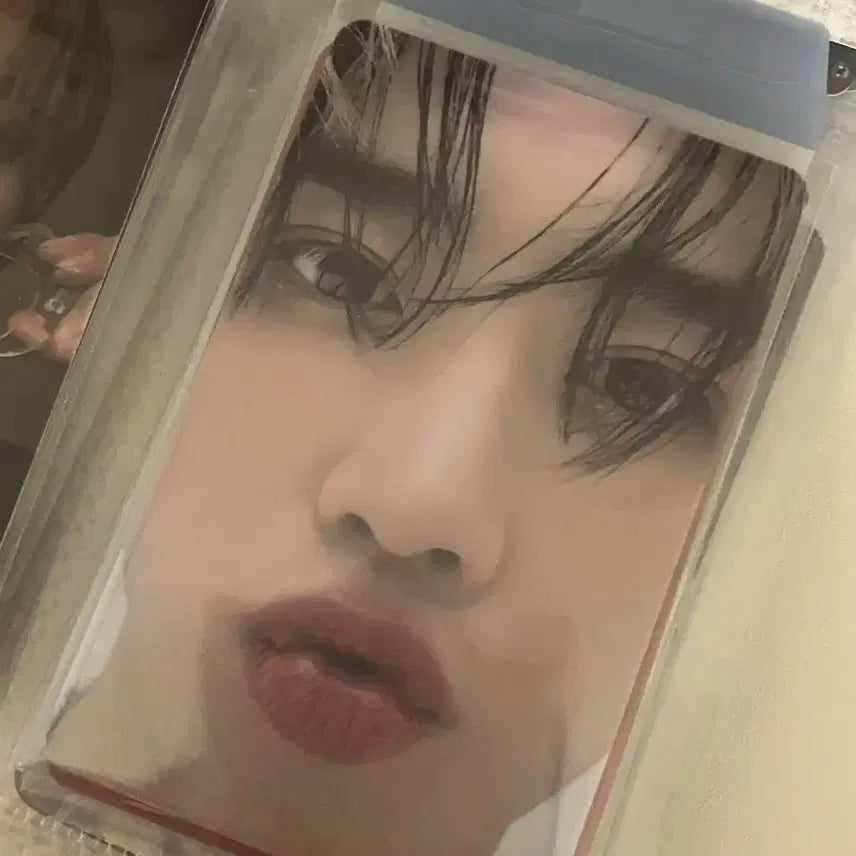 더보이즈 얼빡 선우 포카