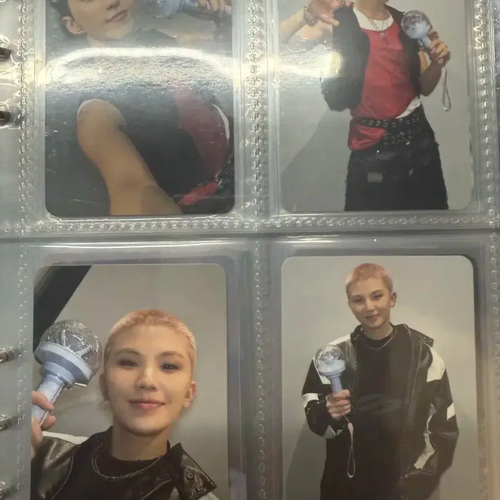 호시 우지 캐럿존 포카
