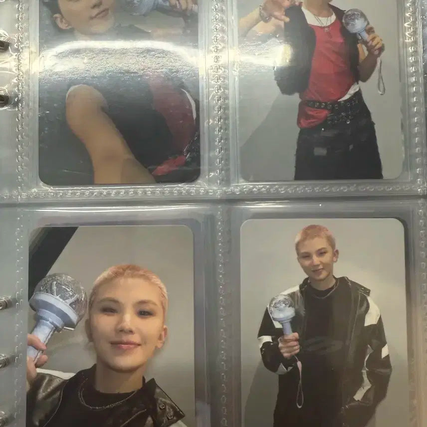 호시 우지 캐럿존 포카