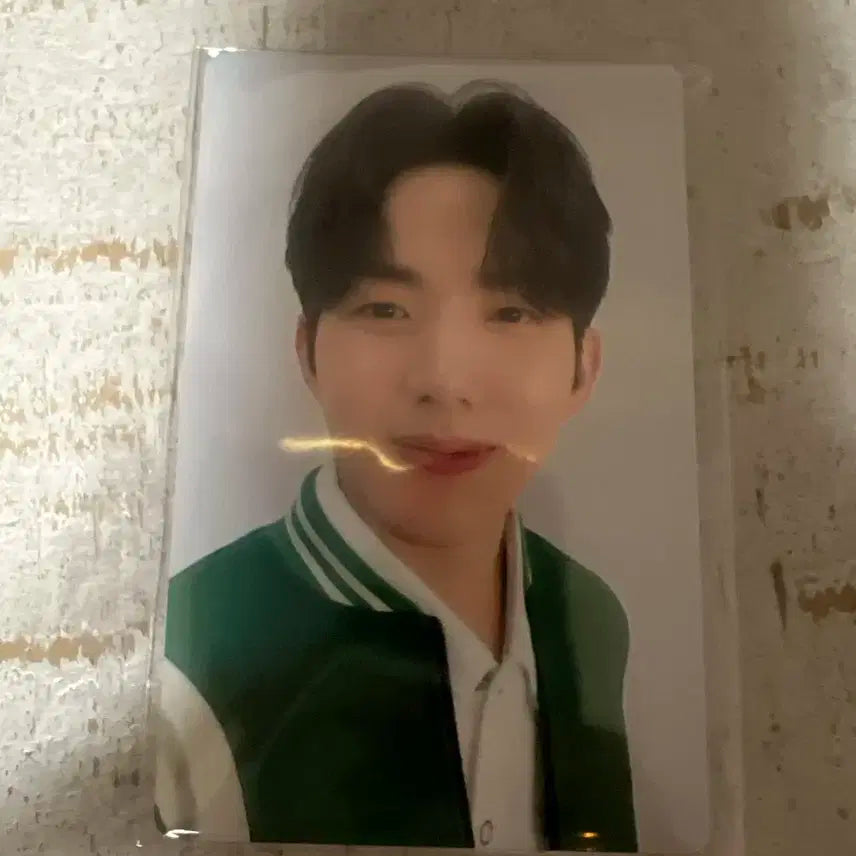 데이식스 포에버영 도쿄 굿즈 도운 포카