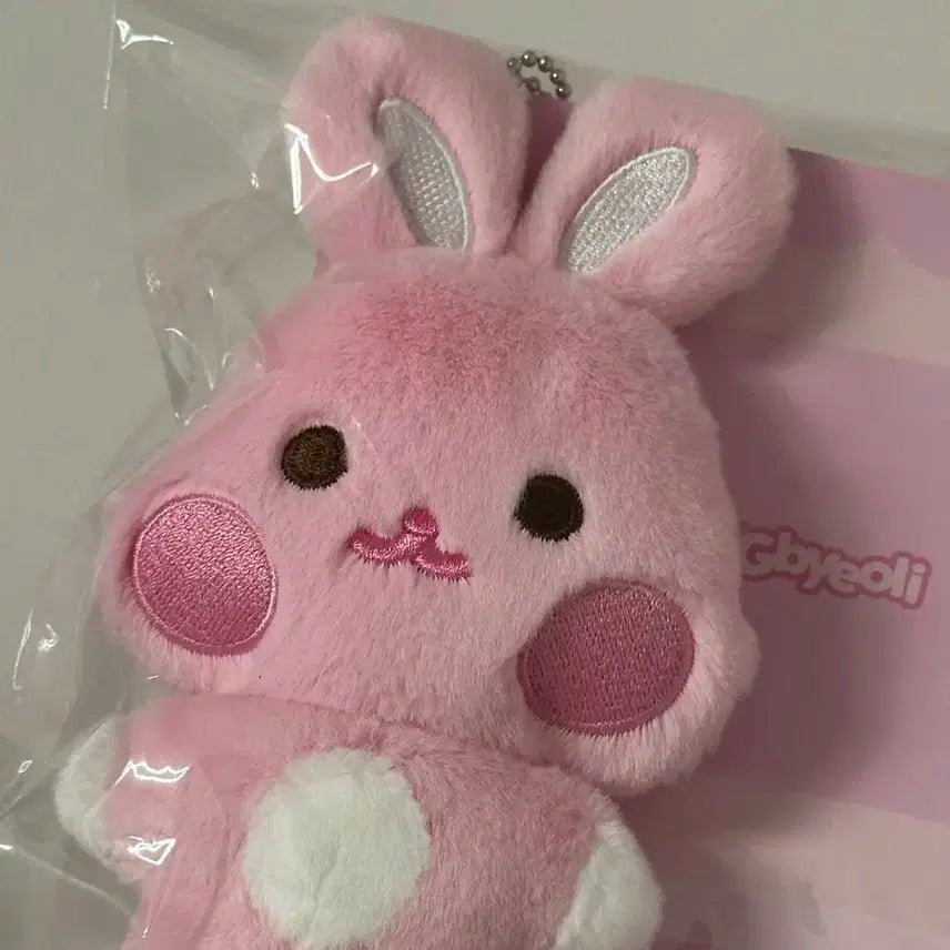 애니티즈 떵별이 플랫퍼 인형 양도 에이티즈 성화