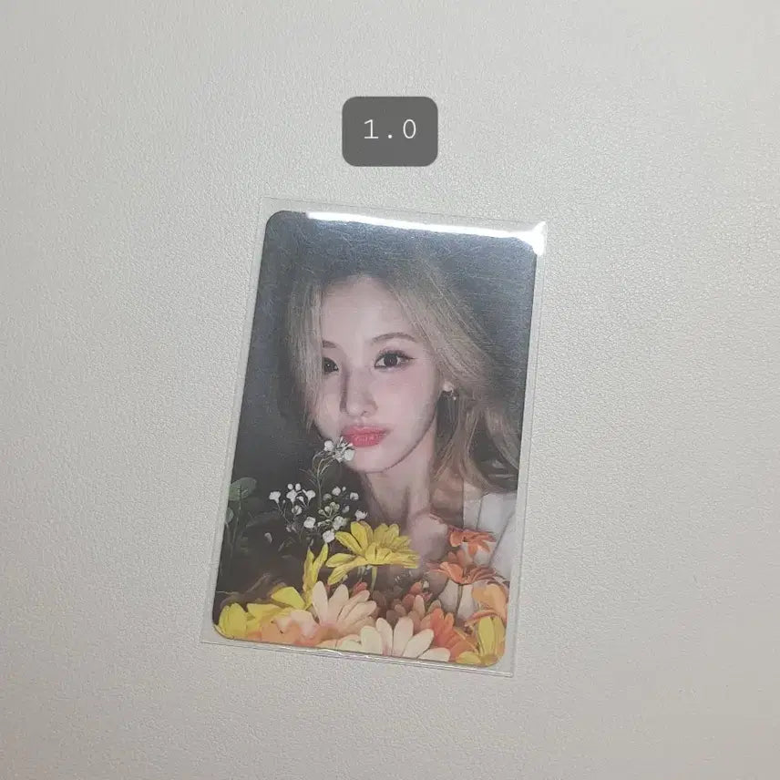 키스오브라이프 키오프 벨 포토카드 판매 양도