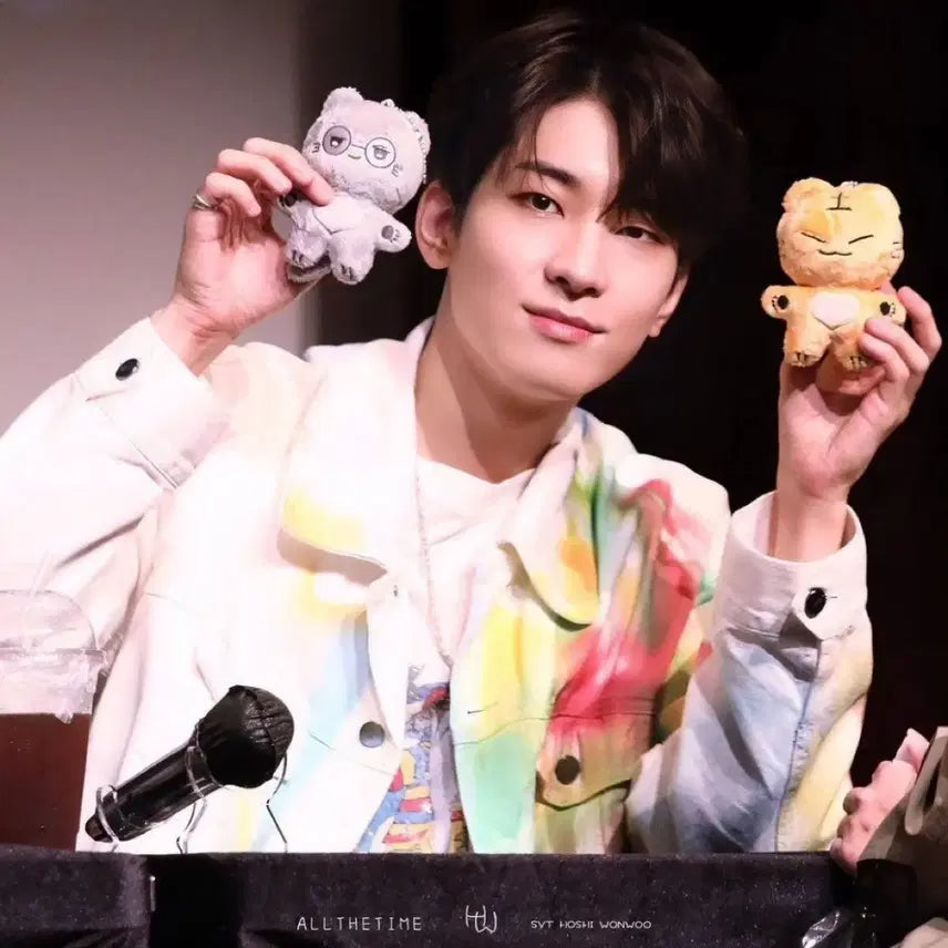 세븐틴 원우 인형 원니 새제품 양도