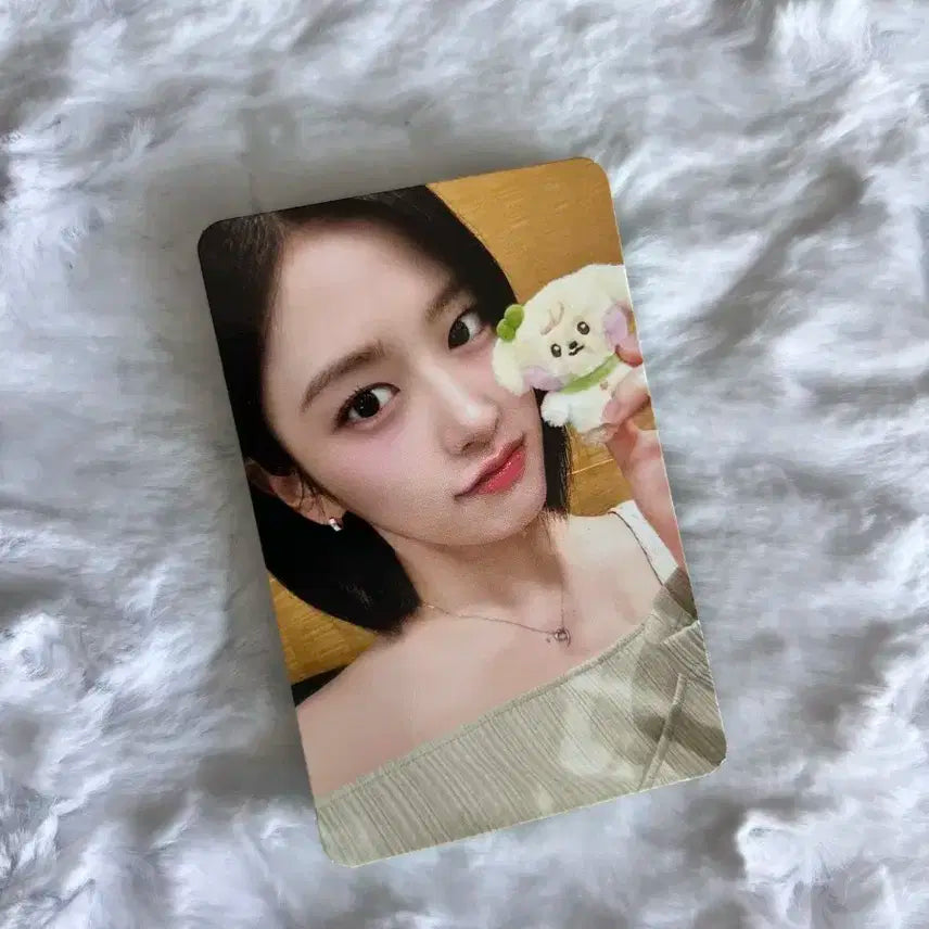 아이브 미니브 유진 스위치 팝업 5만원 특전 포토카드