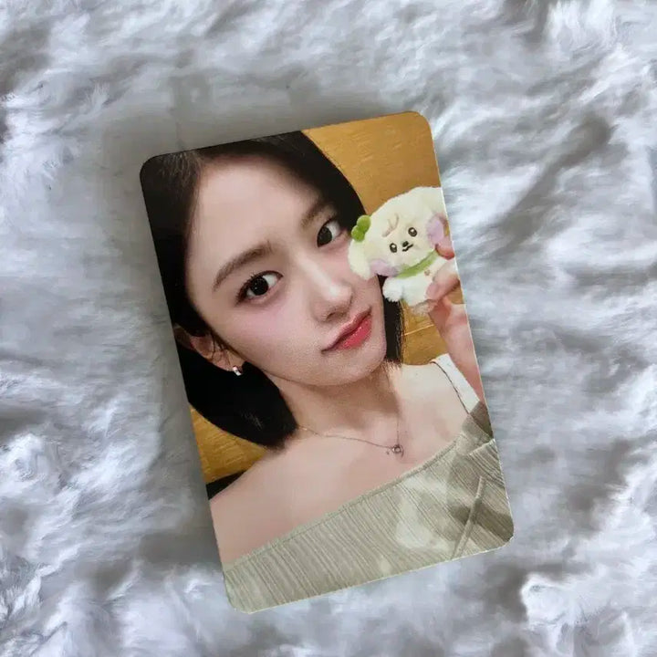 아이브 미니브 유진 스위치 팝업 5만원 특전 포토카드