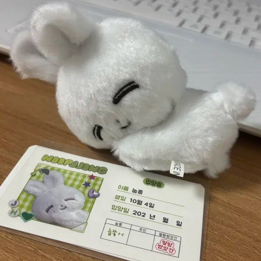세븐틴 정한 인형 눕쫑이 양도