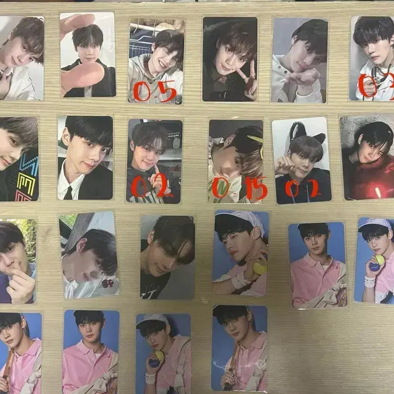 덤 개많음)) 제배원 포카 팝니다. (일괄)