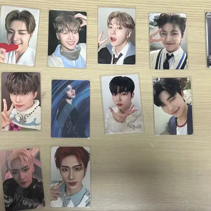 덤 개많음)) 제배원 포카 팝니다. (일괄)