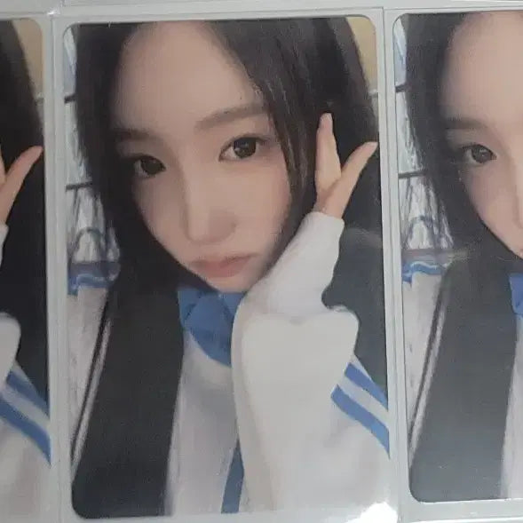 세이마이네임 공방 포토카드 양도