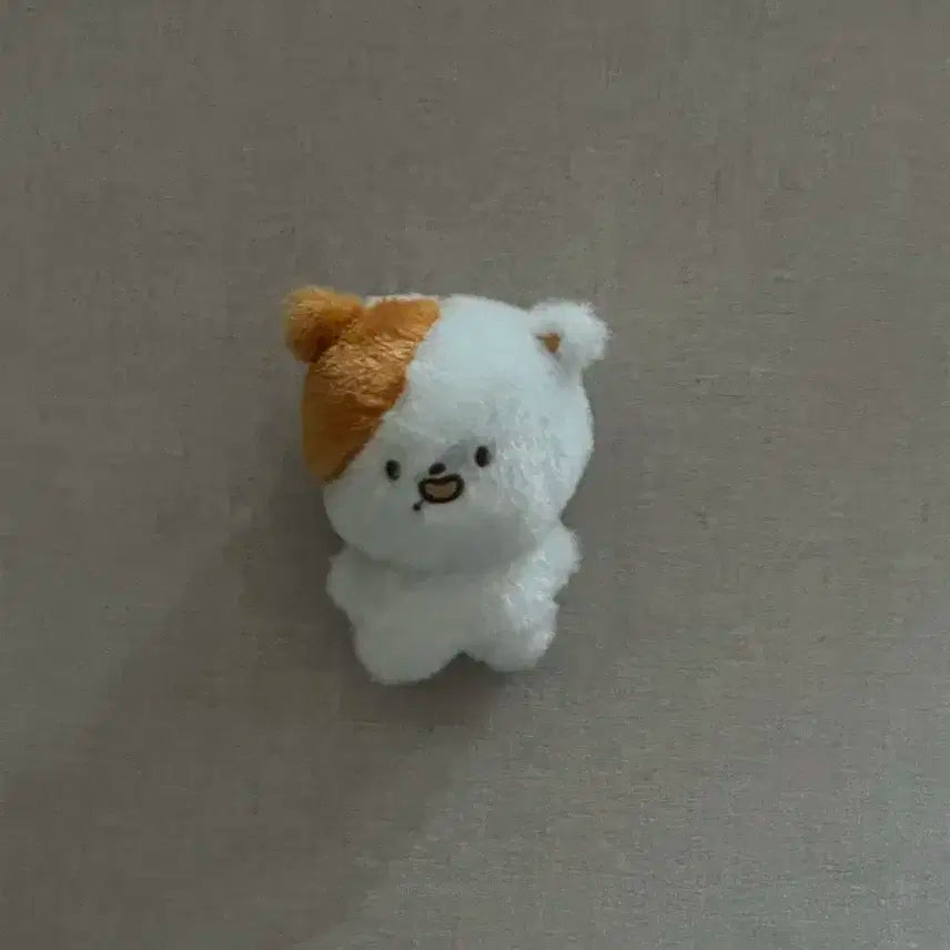 엔시티 지성 인형