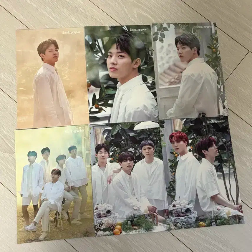 데이식스 센토그래퍼 엽서 도운 데니멀즈 쁘띠멀즈 10주년 콘서트